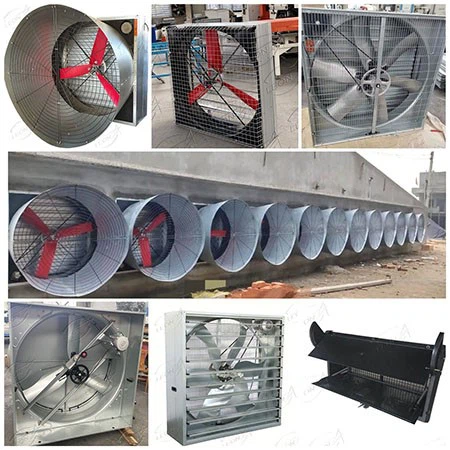 product-450-450 product-450-450