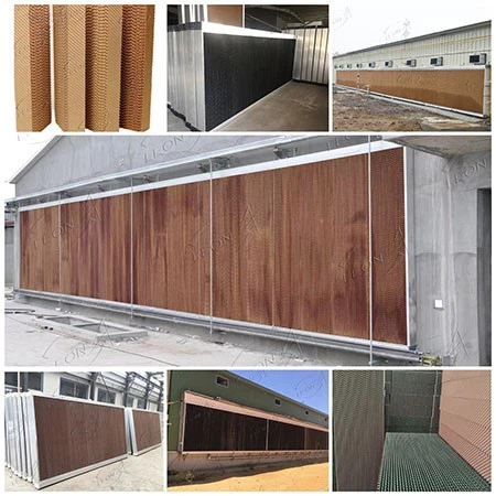 product-450-450 product-450-450
