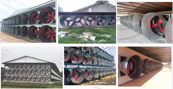 product-600-310