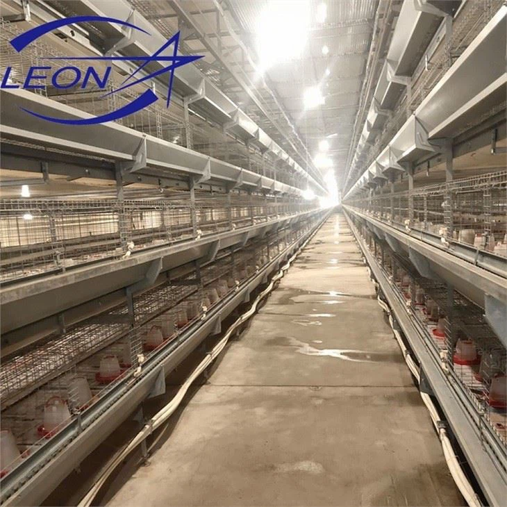 Chicken Layer Cage Used in Poultry Fram Chicken Layer Cage Used in Poultry Fram