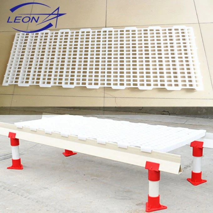Chicken Slat Floor