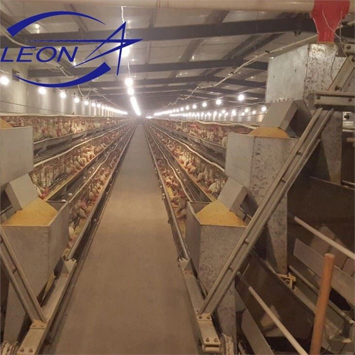 Hot Sale Poultry Farm Laying Hens Used Layer Battery Chicken Cage