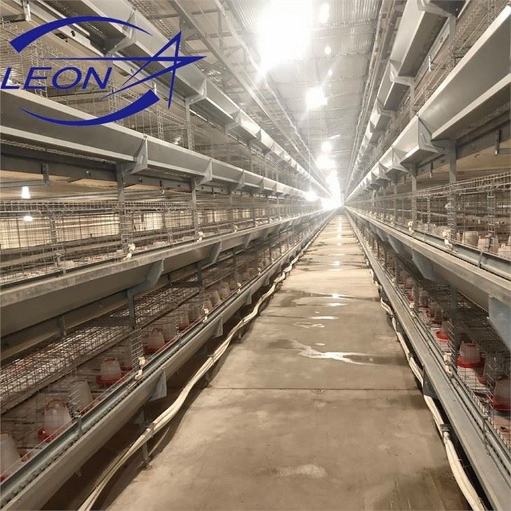 Automatic Battery Cage Poultry Farm
