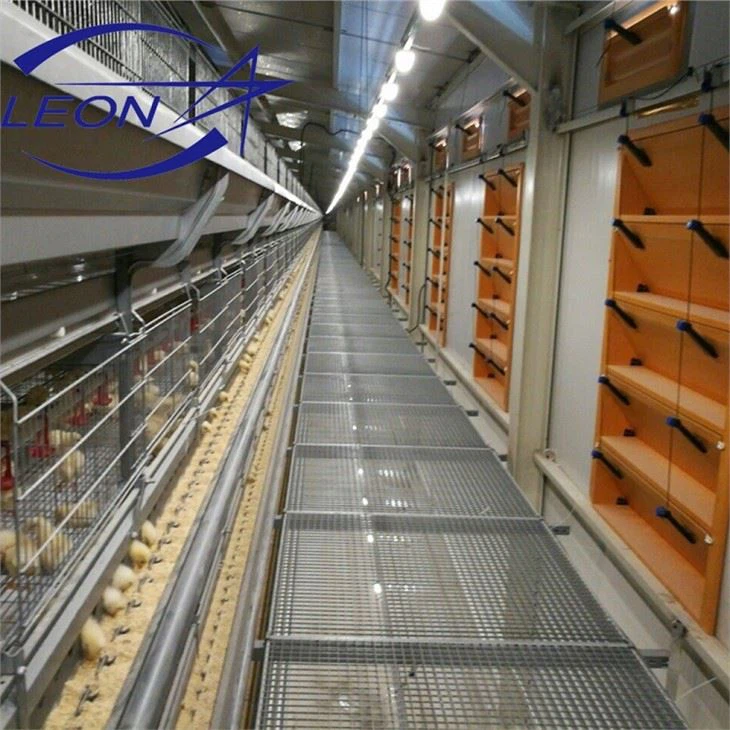 Layer Cage In Animal Cages