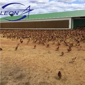 The Latest Cooling Pad For Poultry House Production Line