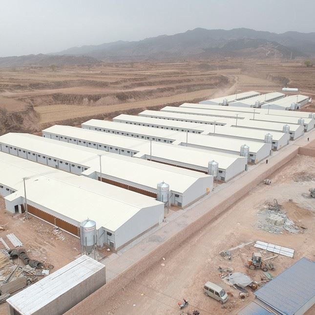 The Latest Cooling Pad For Poultry House Production Line