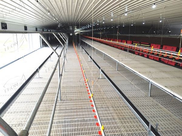 White Plastic Slats For Chicken