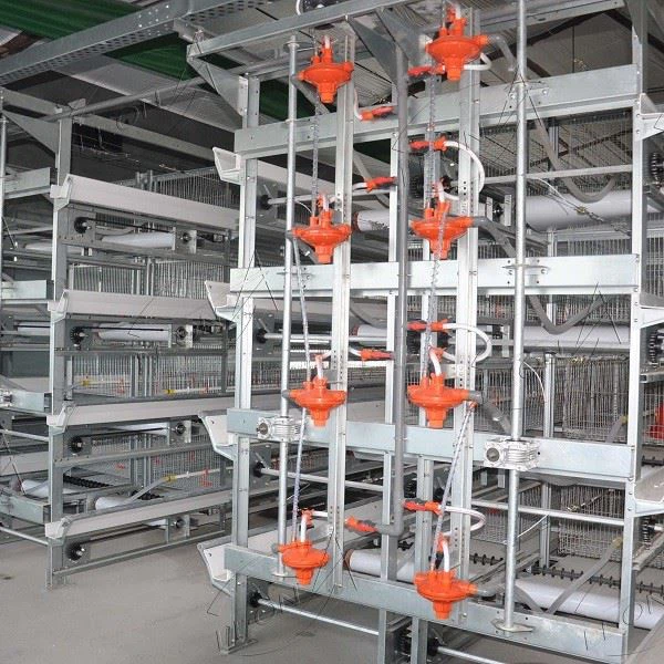 Broiler Equipment Animal Cages
