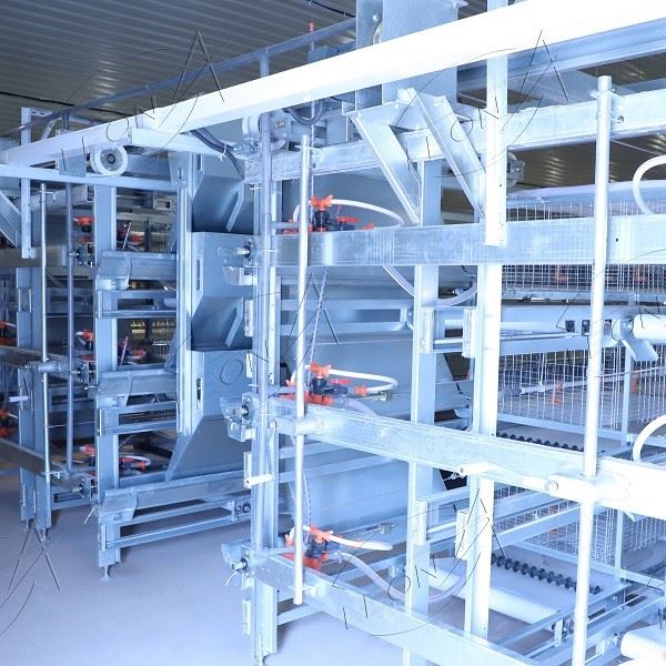 H Type Broiler Battery Chicken Cages Poultry Farm H Type Broiler Battery Chicken Cages Poultry Farm