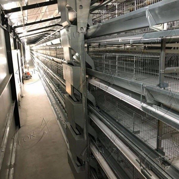 Poultry Cages Equipment Layer Cage System(NEW) Poultry Cages Equipment Layer Cage System(NEW)