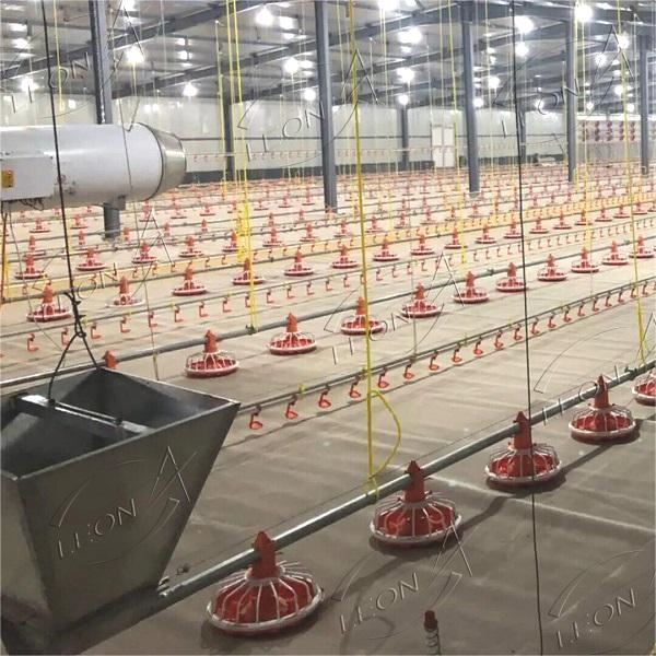 Poultry Housing And Equipment