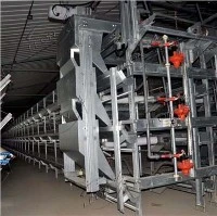 High-quality Automatic Broiler Cage System