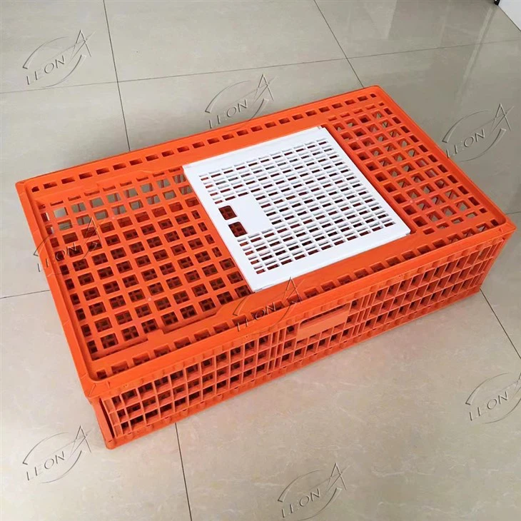 Adult Chicken Transport Cage