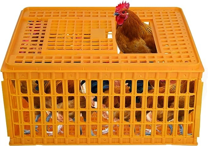 adult chicken transport crate5 adult chicken transport crate5