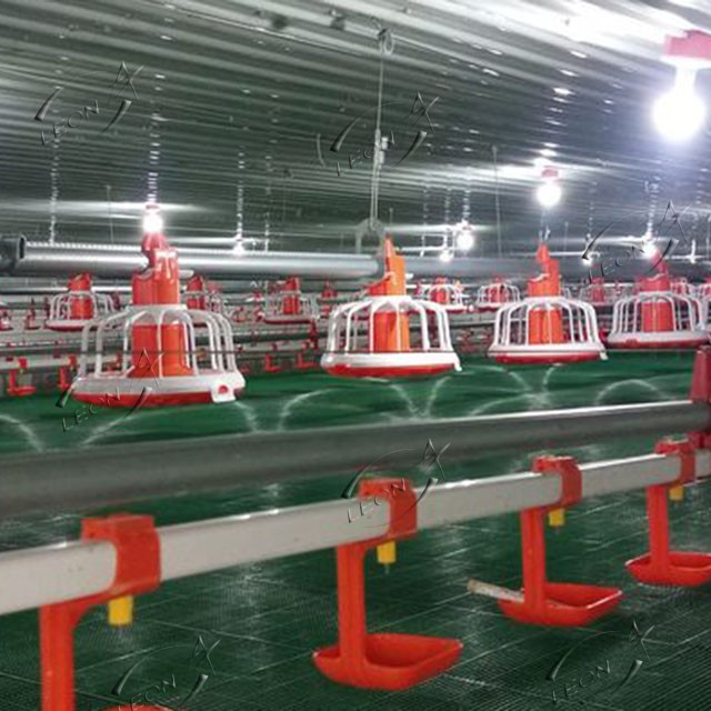 Automatic Poultry Feeder for Broiler Chicken Farm