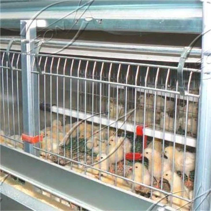 Broiler Cage Raising System Broiler Cage Raising System