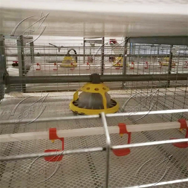 H-type Broiler Cage Raising Sysytem H-type Broiler Cage Raising Sysytem