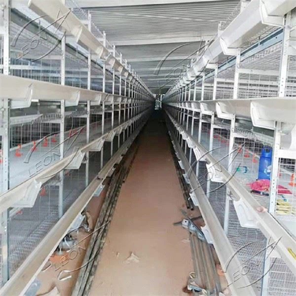 H-type Broiler Cage Raising Sysytem H-type Broiler Cage Raising Sysytem