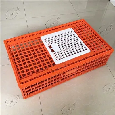 Adult Chicken Transport Cage