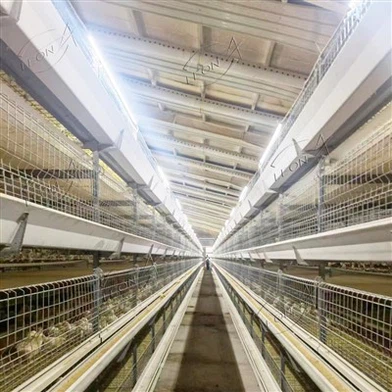Broiler Cage Raising System