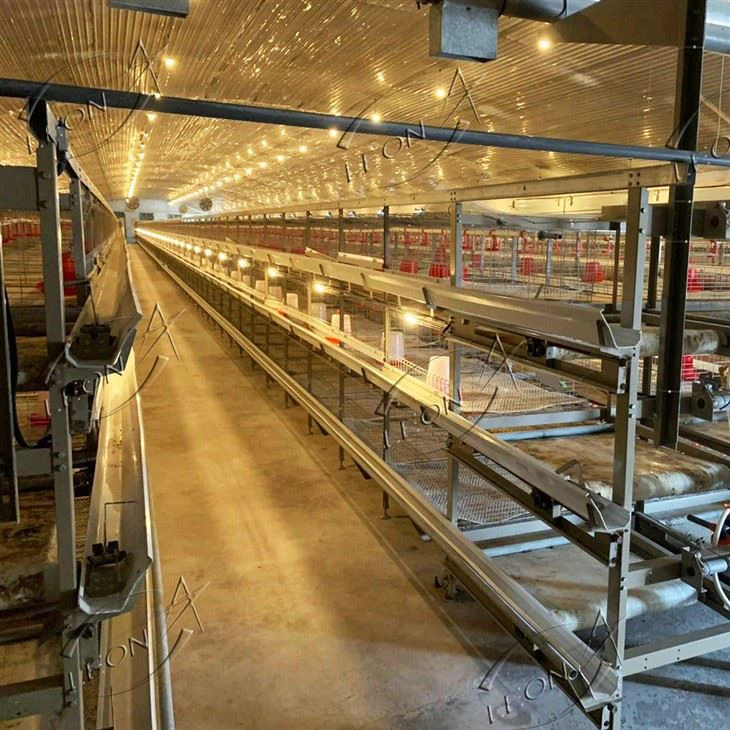 4 Tiers H Type Broiler Chicken Cage