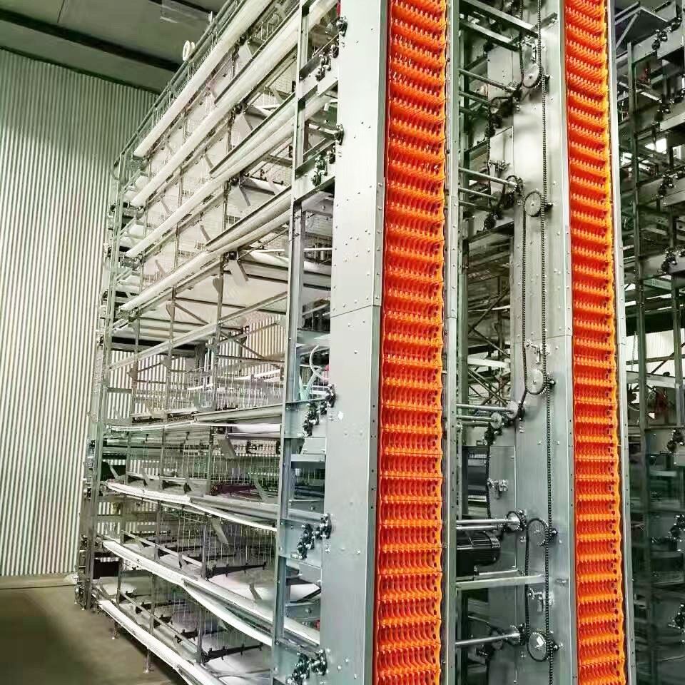 Zero Feed Waste, Maximize Egg Yield: LEON H-Type Layer Cage System price Zero Feed Waste, Maximize Egg Yield: LEON H-Type Layer Cage System price