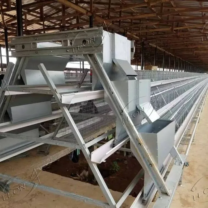 A-Type Automated Layer Cage System For Commercial Egg Production high quality