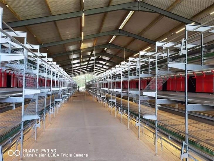 Automatic Laying Hen Aviary System price