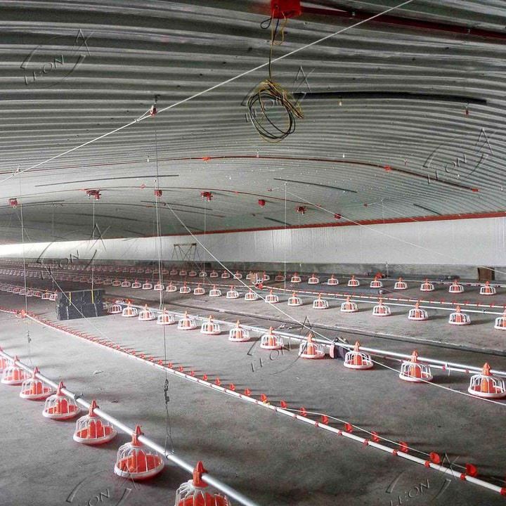 Broiler Intelligent Ground Rearing System Equipment factory