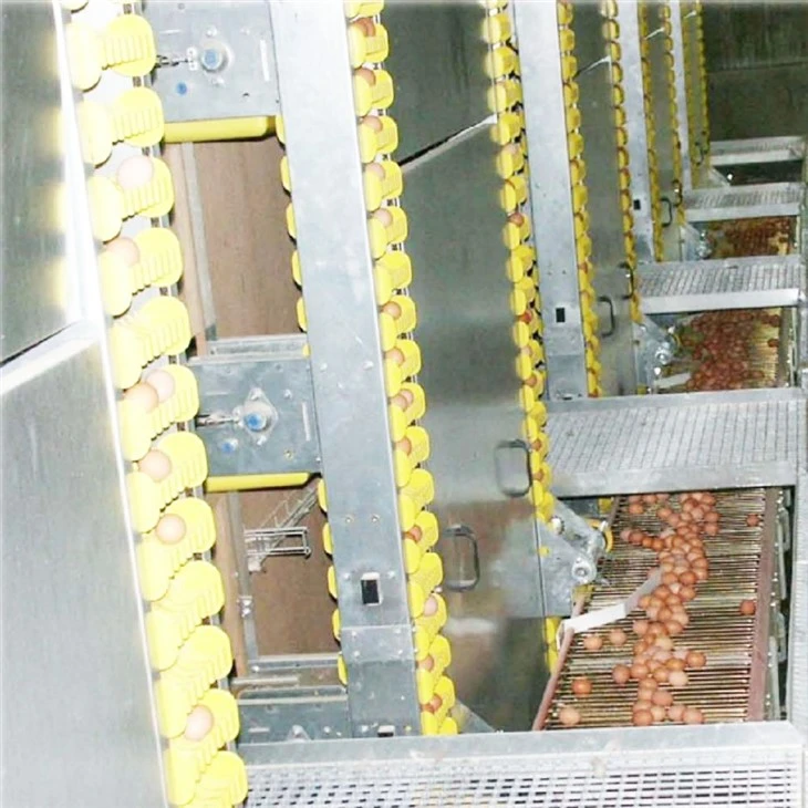 Building The Ultimate Egg Factory: LEON Intelligent H-Type Automated Layer Cage System best Building The Ultimate Egg Factory: LEON Intelligent H-Type Automated Layer Cage System best