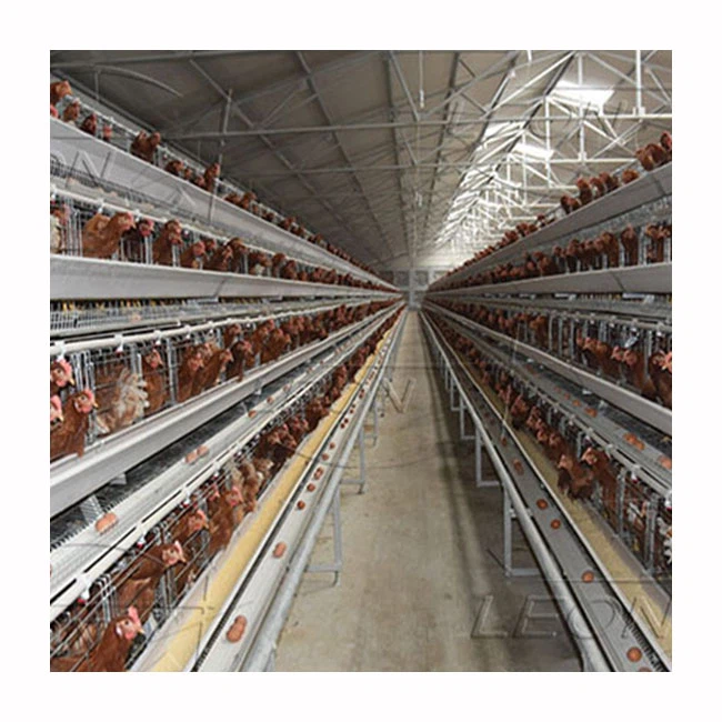 Cheap Type A Layer Cage For Sale