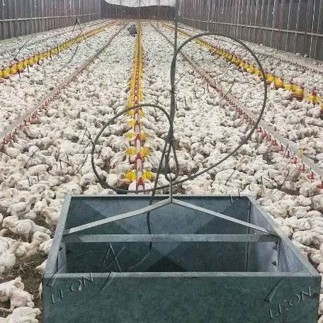 Fast Growth, Premium Yield: LEON Automatic Broiler Ground Raising Solution high quality Fast Growth, Premium Yield: LEON Automatic Broiler Ground Raising Solution high quality