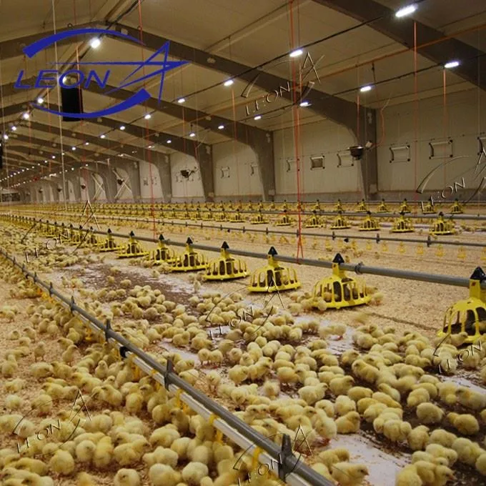 Fast Growth, Superior FCR: LEON Modern Broiler Ground Raising System high quality