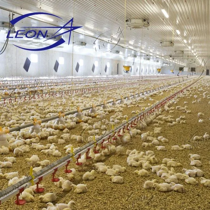 Fast Growth, Superior FCR: LEON Modern Broiler Ground Raising System price
