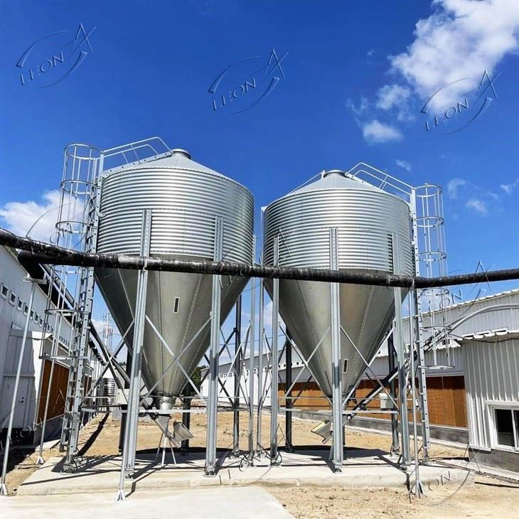 Feed Silo
