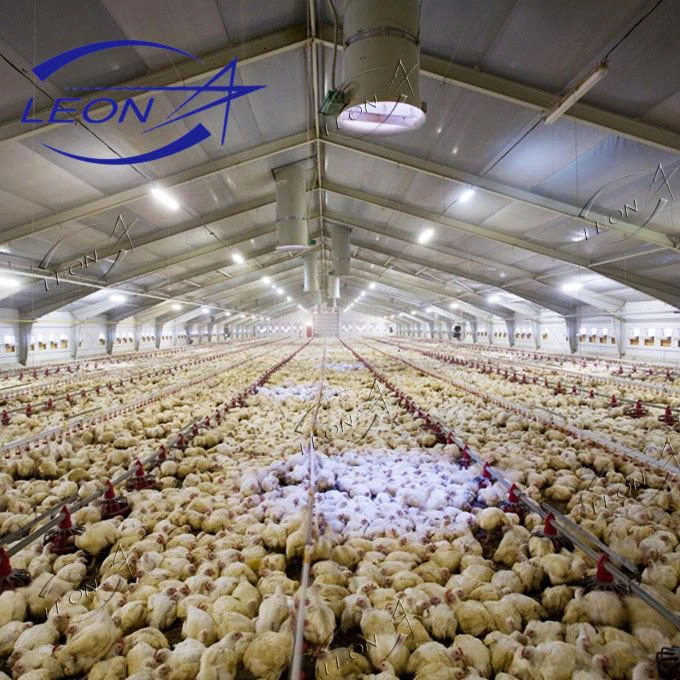 Fully Automatic Chicken Broiler Ground System