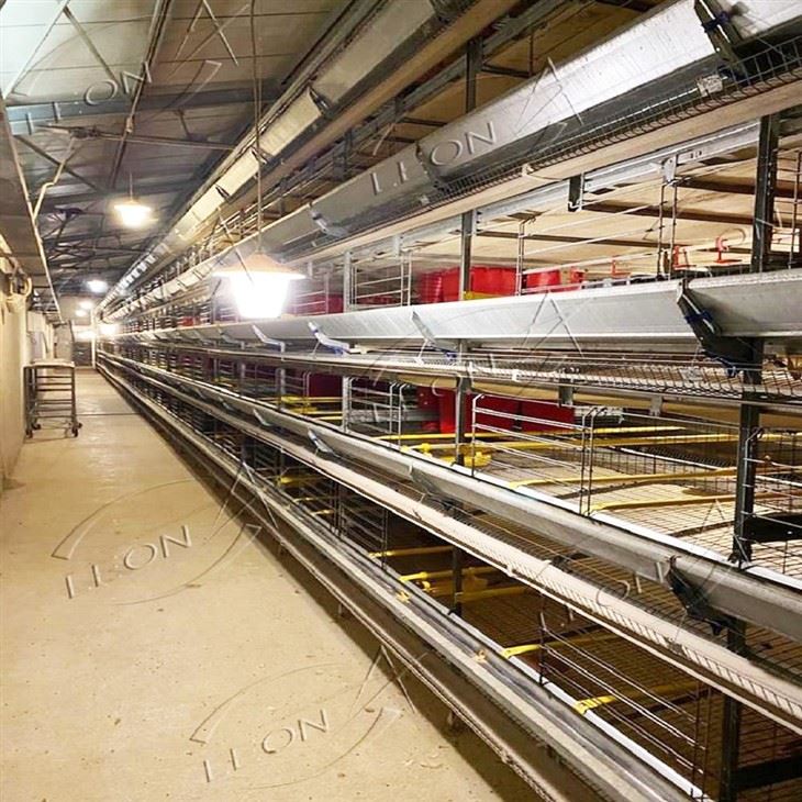 Fully Automatic H-Type Layer Battery Cage factory Fully Automatic H-Type Layer Battery Cage factory