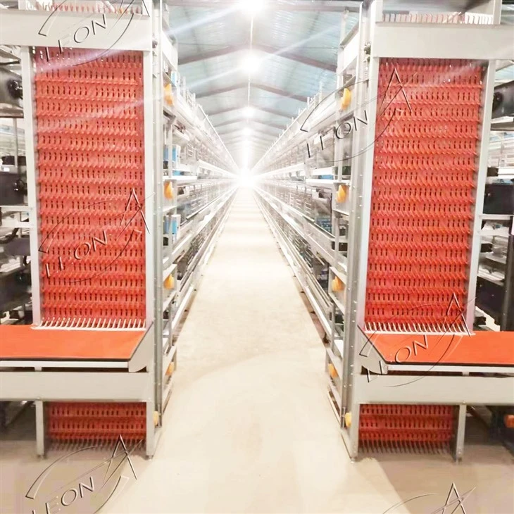 Fully Automatic H-Type Layer Battery Cage high quality Fully Automatic H-Type Layer Battery Cage high quality