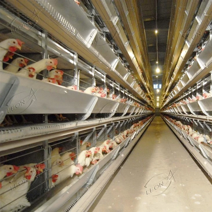 Fully Automatic H-Type Layer Battery Cage best Fully Automatic H-Type Layer Battery Cage best