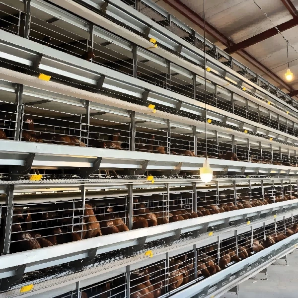 Fully Automatic H-Type Layer Battery Cage price Fully Automatic H-Type Layer Battery Cage price