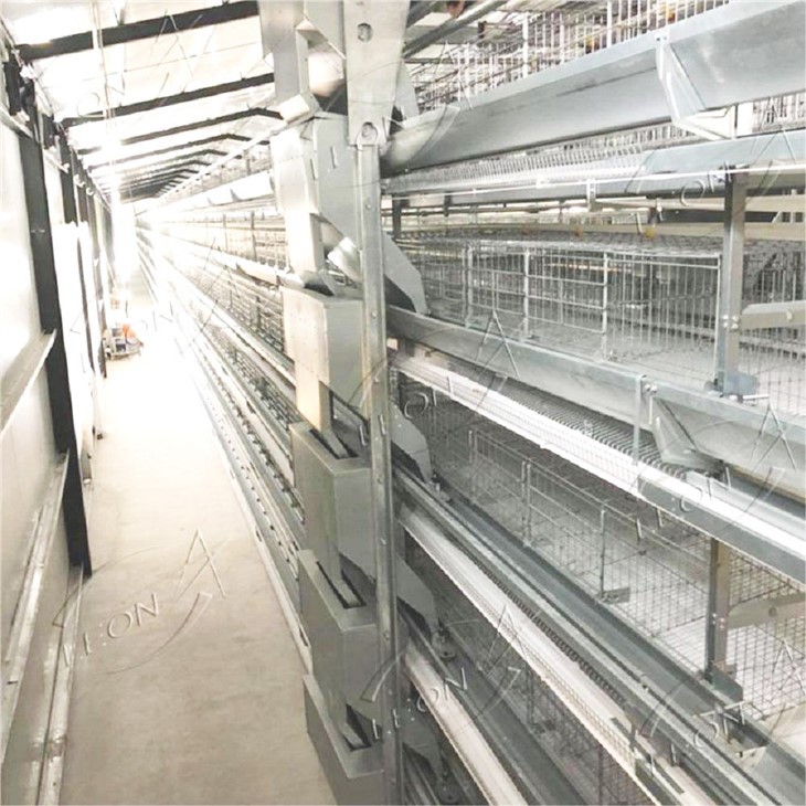 Fully Automatic H-type Layer Chicken Cage System For Commercial Poultry Farming factory Fully Automatic H-type Layer Chicken Cage System For Commercial Poultry Farming factory