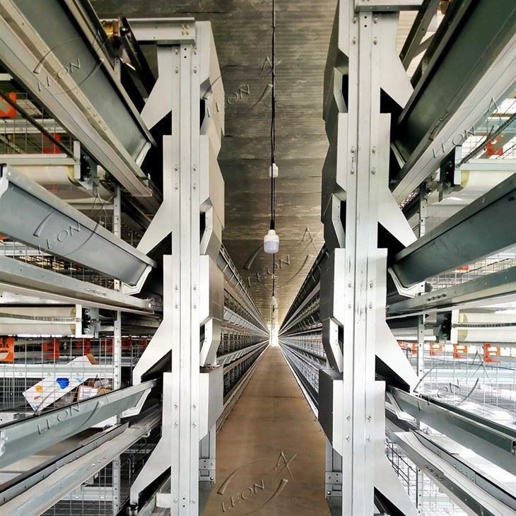 Fully Automatic H-type Layer Chicken Cage System For Commercial Poultry Farming high quality Fully Automatic H-type Layer Chicken Cage System For Commercial Poultry Farming high quality