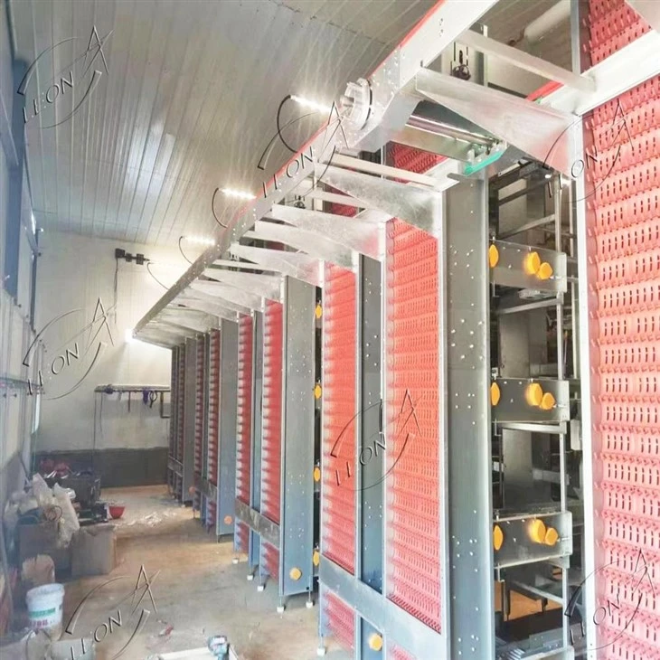 H-Type Automated Layer Cage System high quality H-Type Automated Layer Cage System high quality