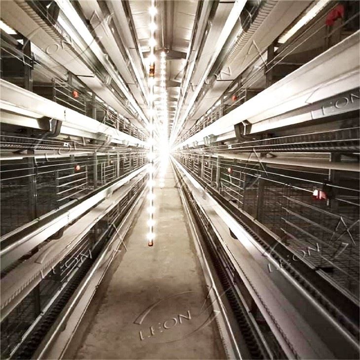 H-Type Automated Layer Cage System factory H-Type Automated Layer Cage System factory