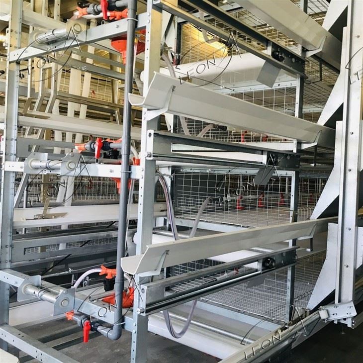 H-Type Automatic Broiler Rearing Cage System price H-Type Automatic Broiler Rearing Cage System price