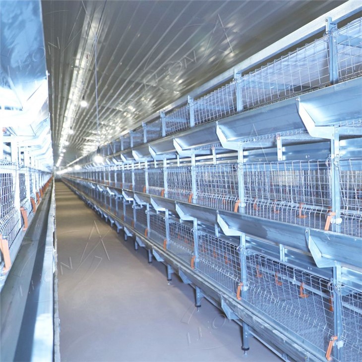 H-Type Automatic Broiler Rearing Cage System