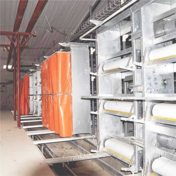 H-Type Automatic Broiler Rearing Cage System best H-Type Automatic Broiler Rearing Cage System best