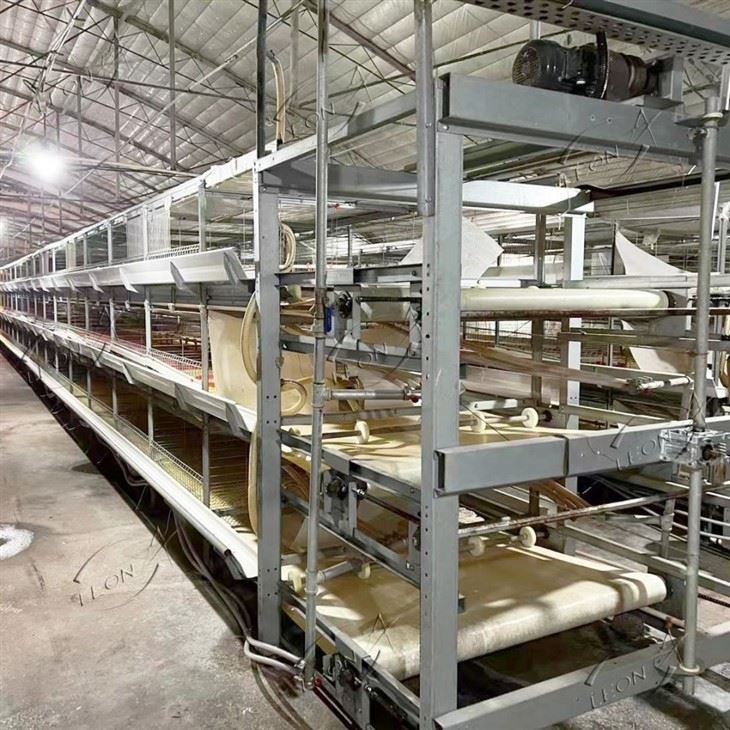 H-Type Automatic Broiler Rearing Cage System high quality H-Type Automatic Broiler Rearing Cage System high quality