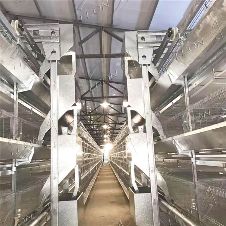 H-Type Automatic Broiler Rearing Cage System factory H-Type Automatic Broiler Rearing Cage System factory