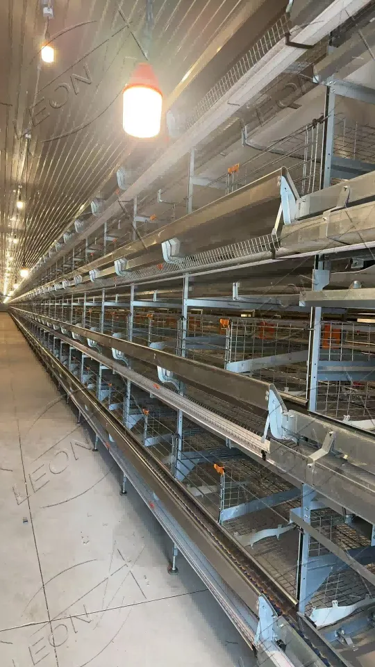 H-Type Chain Automated Cage System For Layers suppliers